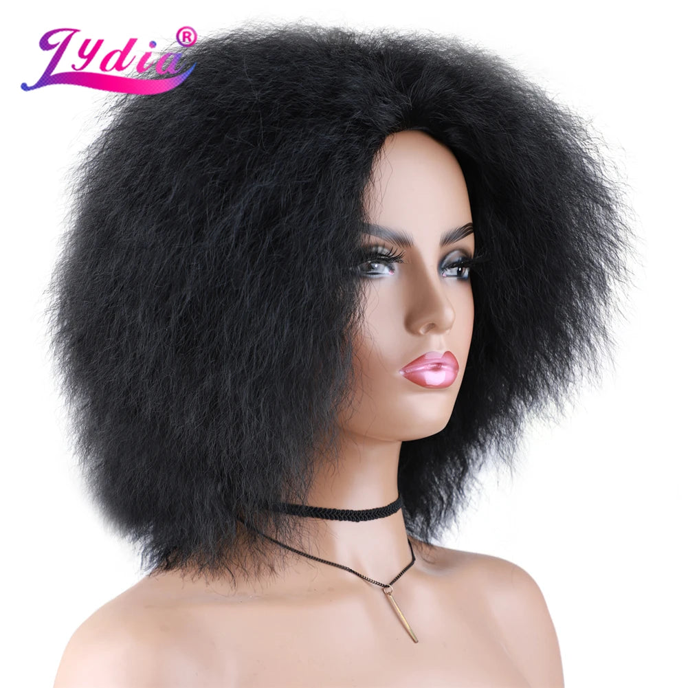 Lydia Short & Sassy Kinky Straight Wig